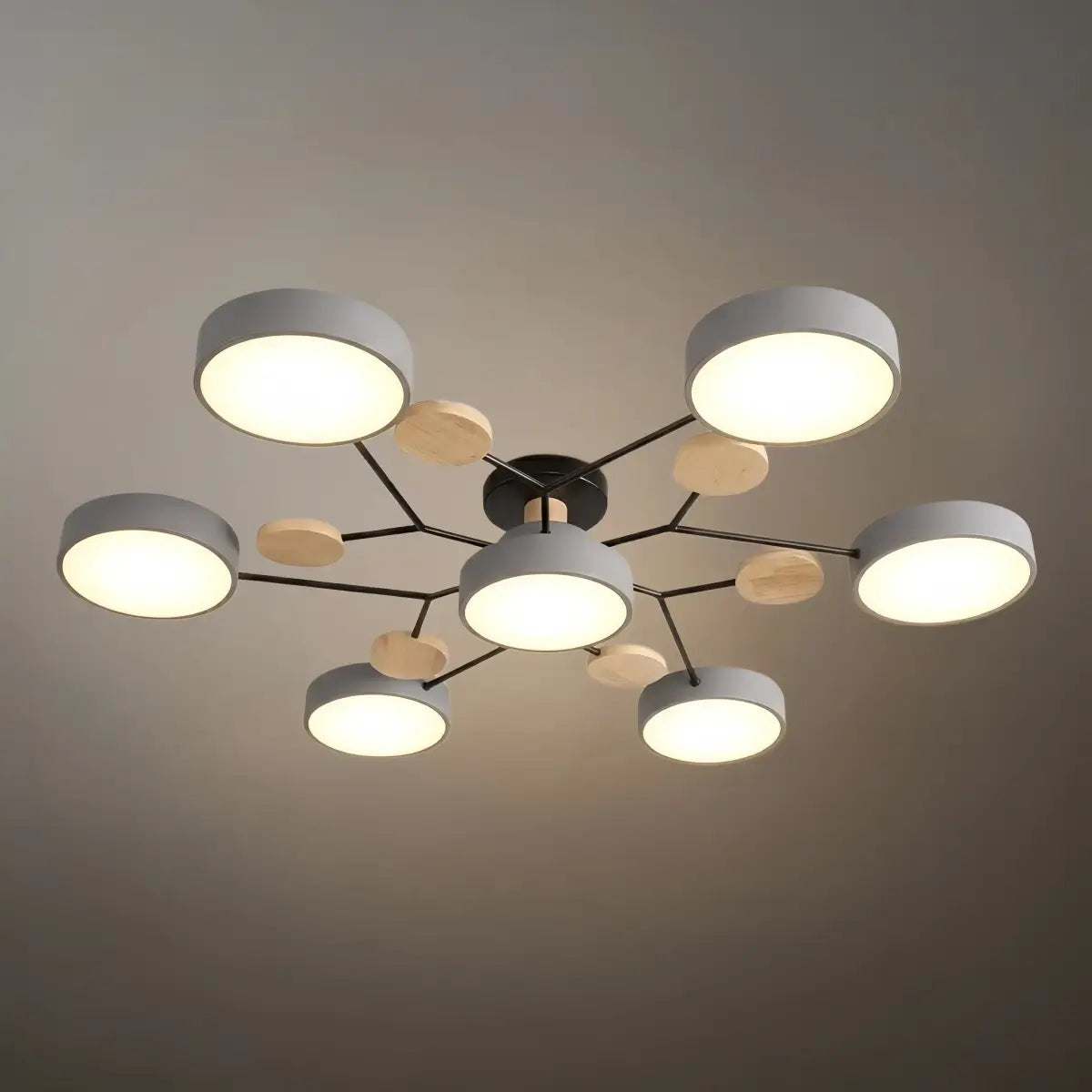 Modern_Round_Ceiling_Light